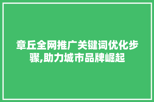 章丘全网推广关键词优化步骤,助力城市品牌崛起