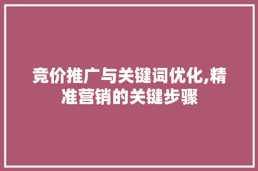 竞价推广与关键词优化,精准营销的关键步骤