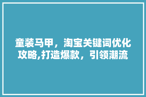 童装马甲，淘宝关键词优化攻略,打造爆款，引领潮流