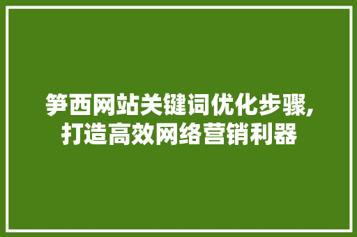 笋西网站关键词优化步骤,打造高效网络营销利器