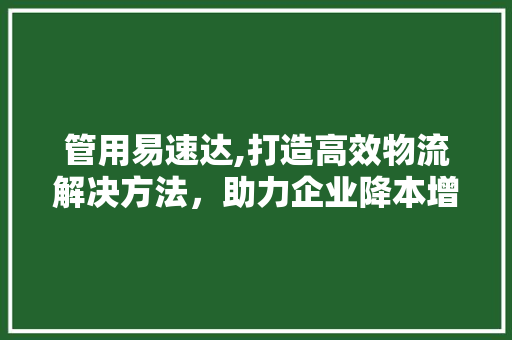 管用易速达,打造高效物流解决方法，助力企业降本增效
