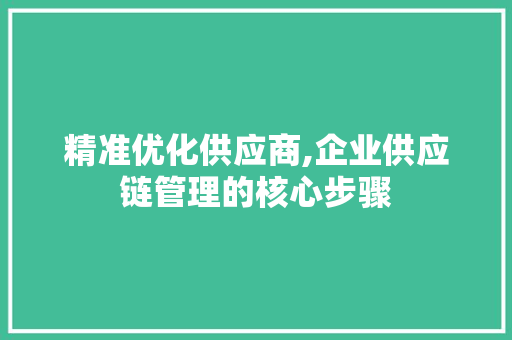 精准优化供应商,企业供应链管理的核心步骤