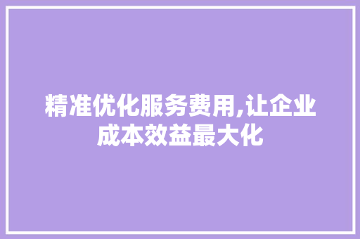 精准优化服务费用,让企业成本效益最大化