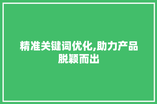 精准关键词优化,助力产品脱颖而出