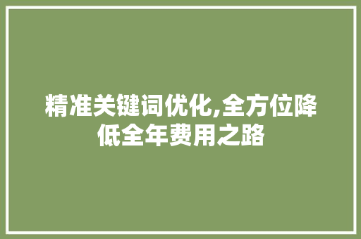 精准关键词优化,全方位降低全年费用之路