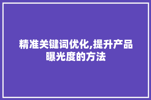 精准关键词优化,提升产品曝光度的方法