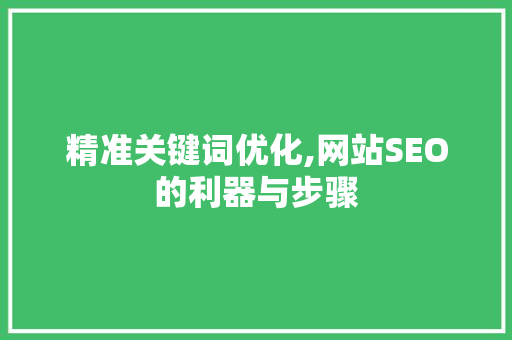 精准关键词优化,网站SEO的利器与步骤