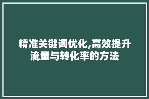 精准关键词优化,高效提升流量与转化率的方法