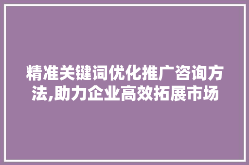 精准关键词优化推广咨询方法,助力企业高效拓展市场