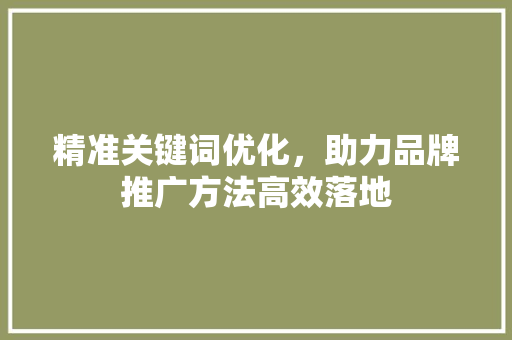 精准关键词优化，助力品牌推广方法高效落地