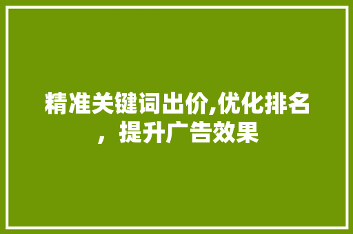 精准关键词出价,优化排名，提升广告效果