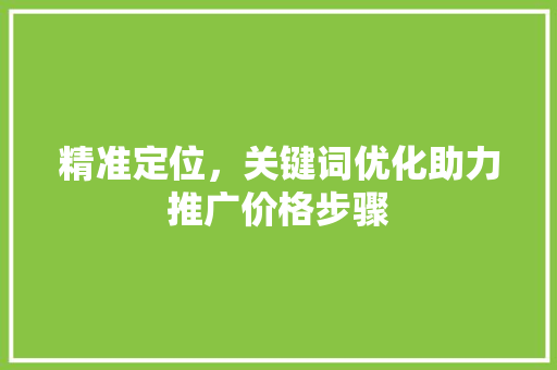 精准定位，关键词优化助力推广价格步骤