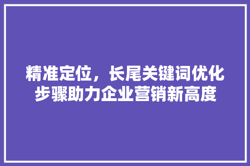 精准定位，长尾关键词优化步骤助力企业营销新高度
