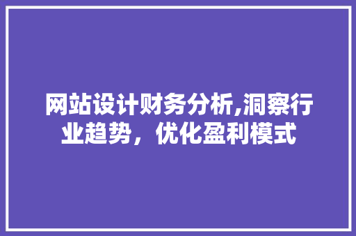 网站设计财务分析,洞察行业趋势，优化盈利模式 项目报告