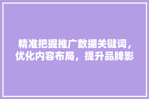 精准把握推广数据关键词，优化内容布局，提升品牌影响力
