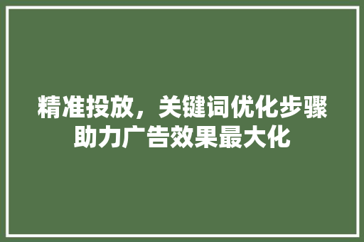 精准投放，关键词优化步骤助力广告效果最大化