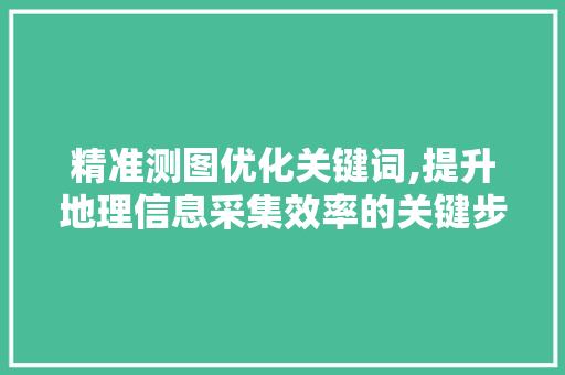 精准测图优化关键词,提升地理信息采集效率的关键步骤