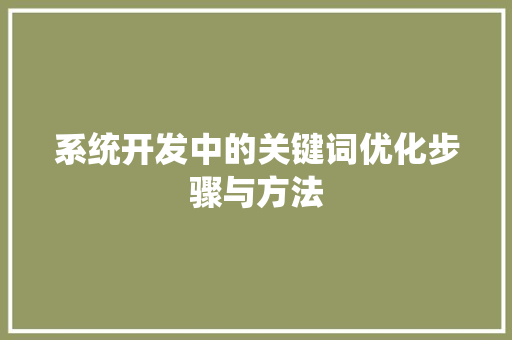 系统开发中的关键词优化步骤与方法
