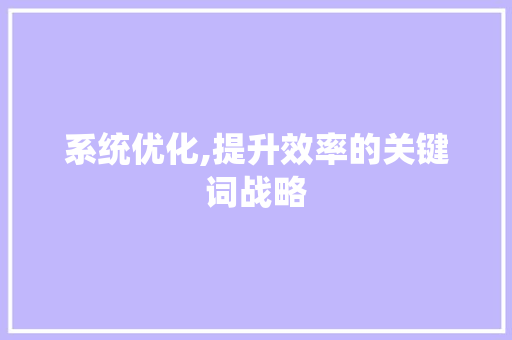 系统优化,提升效率的关键词战略