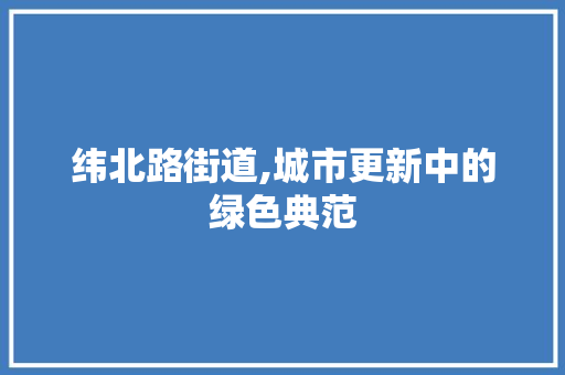 纬北路街道,城市更新中的绿色典范