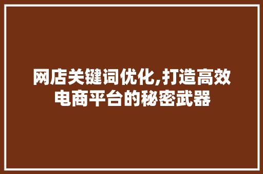 网店关键词优化,打造高效电商平台的秘密武器