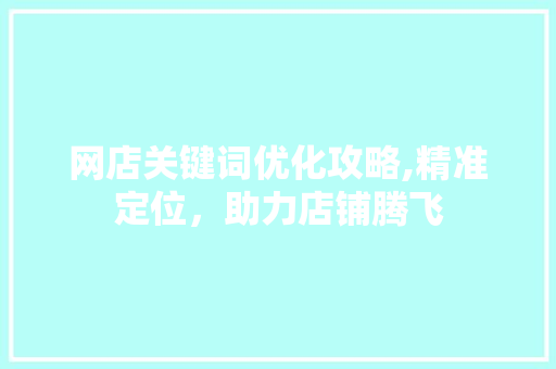 网店关键词优化攻略,精准定位，助力店铺腾飞