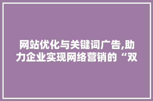 网站优化与关键词广告,助力企业实现网络营销的“双剑合璧”
