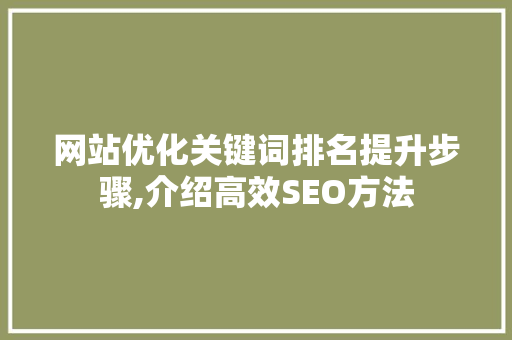 网站优化关键词排名提升步骤,介绍高效SEO方法