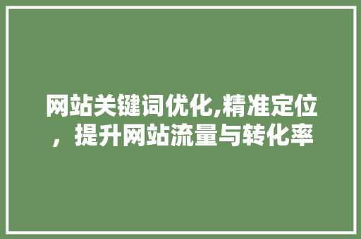 网站关键词优化,精准定位，提升网站流量与转化率