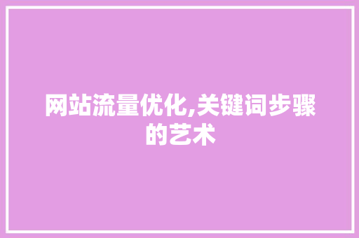 网站流量优化,关键词步骤的艺术