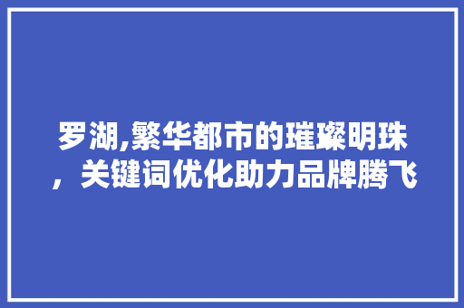 罗湖,繁华都市的璀璨明珠，关键词优化助力品牌腾飞