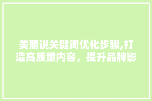 美丽说关键词优化步骤,打造高质量内容，提升品牌影响力