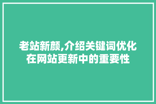 老站新颜,介绍关键词优化在网站更新中的重要性
