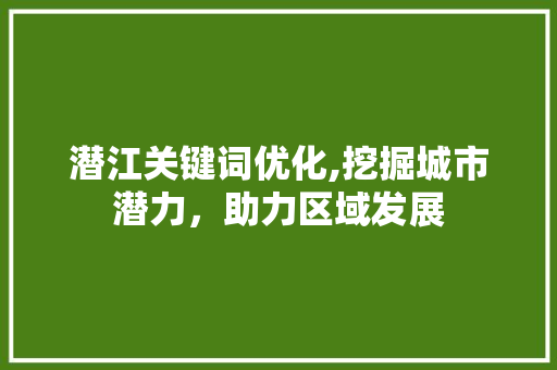 潜江关键词优化,挖掘城市潜力，助力区域发展