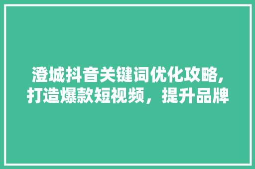 澄城抖音关键词优化攻略,打造爆款短视频，提升品牌影响力