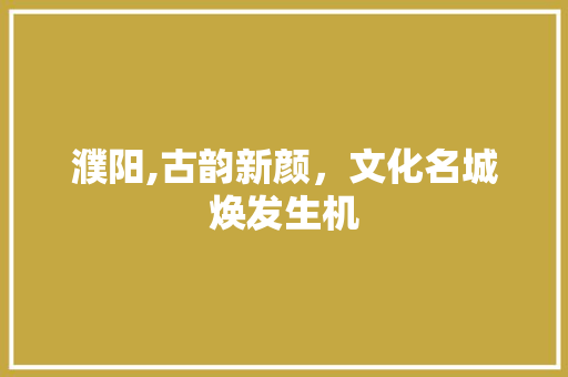 濮阳,古韵新颜，文化名城焕发生机