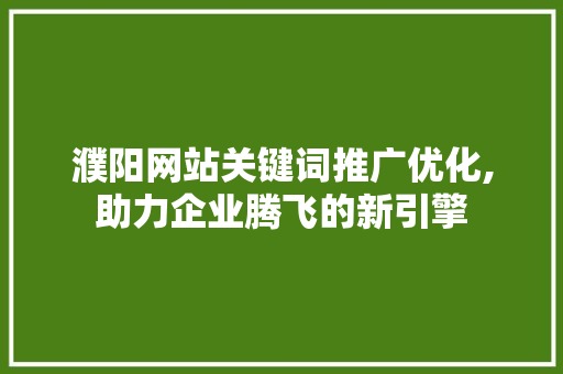 濮阳网站关键词推广优化,助力企业腾飞的新引擎