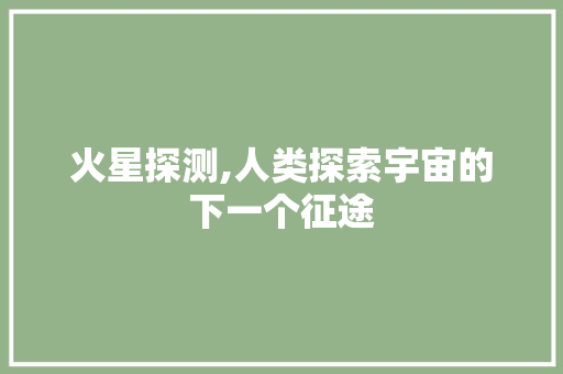 火星探测,人类探索宇宙的下一个征途