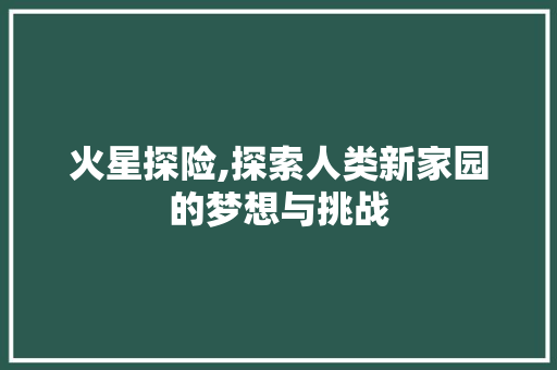 火星探险,探索人类新家园的梦想与挑战