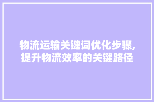 物流运输关键词优化步骤,提升物流效率的关键路径