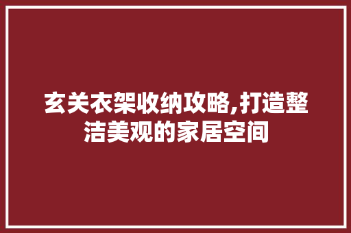 玄关衣架收纳攻略,打造整洁美观的家居空间