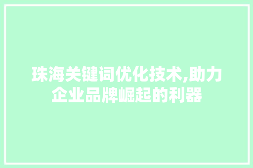 珠海关键词优化技术,助力企业品牌崛起的利器