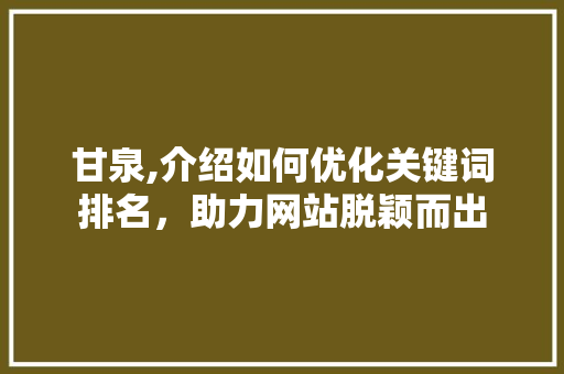 甘泉,介绍如何优化关键词排名，助力网站脱颖而出