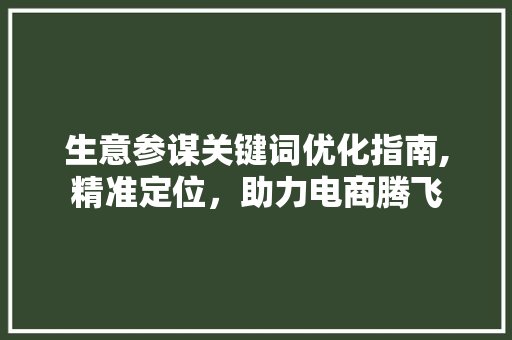 生意参谋关键词优化指南,精准定位，助力电商腾飞