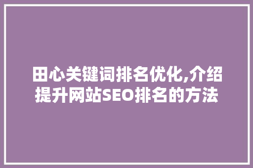 田心关键词排名优化,介绍提升网站SEO排名的方法