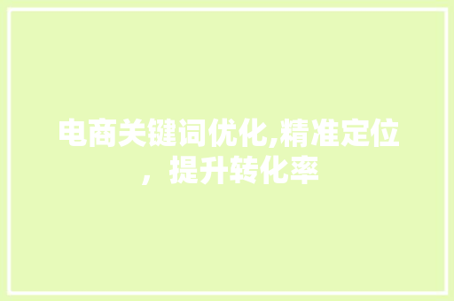 电商关键词优化,精准定位，提升转化率
