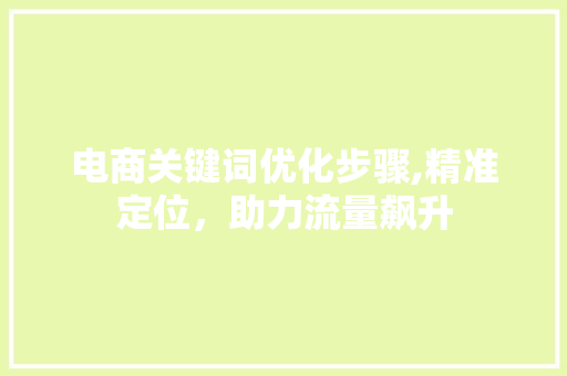 电商关键词优化步骤,精准定位，助力流量飙升