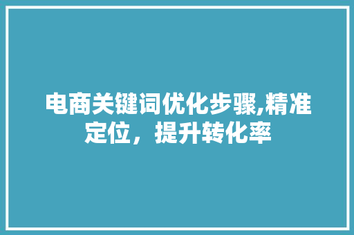 电商关键词优化步骤,精准定位，提升转化率