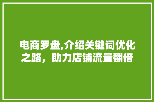 电商罗盘,介绍关键词优化之路，助力店铺流量翻倍