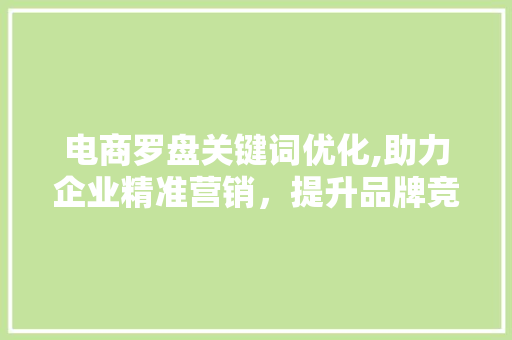 电商罗盘关键词优化,助力企业精准营销，提升品牌竞争力 网站建设